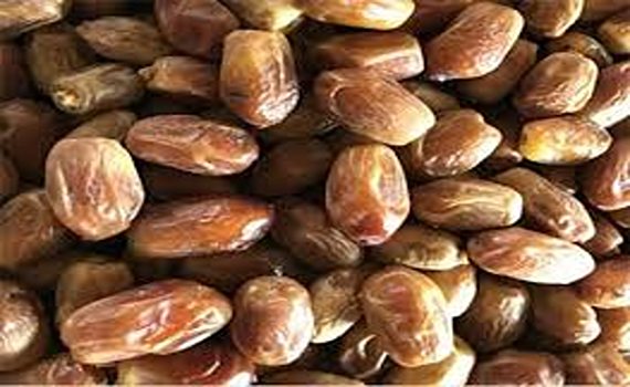 تصویر 4 از خرید و قیمت خرمای زاهدی جهرم + فروش عمده